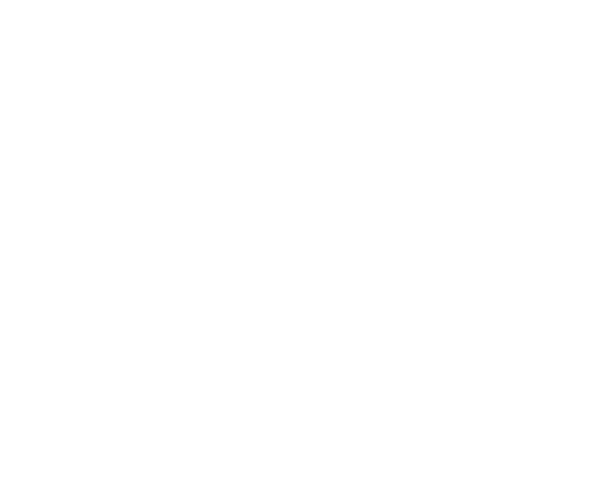 Steam Town Brew Co